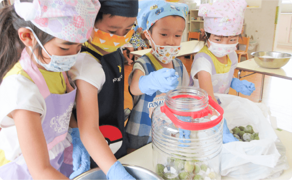 食育の取り組みの様子2：野菜の収穫